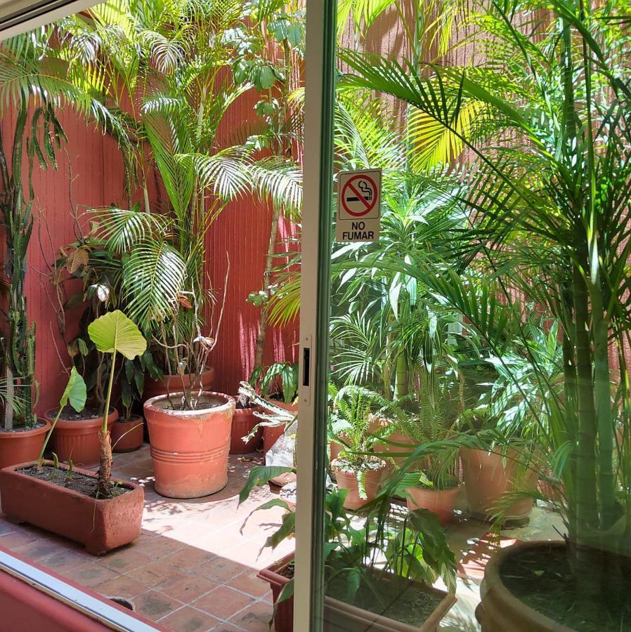 Hotel Posada El Cid Oaxaca Ngoại thất bức ảnh